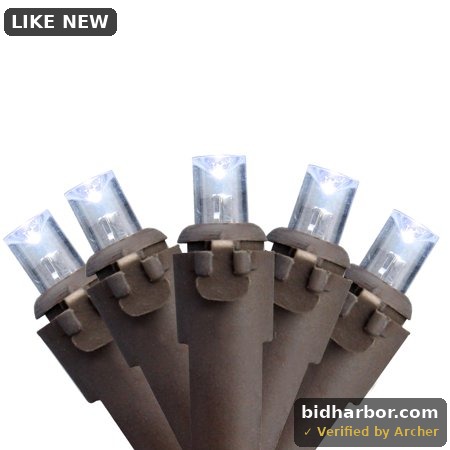 Northlight Seasonal 50ct. Concave Christmas Lights - Pack of 50