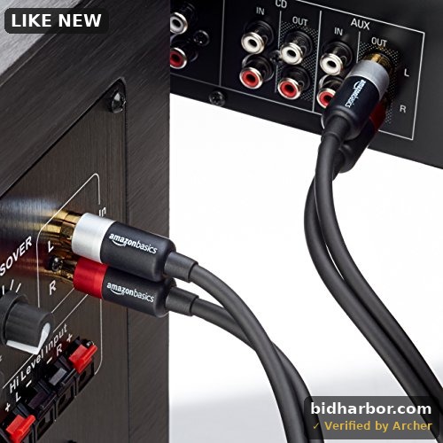 Amazon Basics 2-Male to 2-Male RCA Audio Stereo Subwoofer Cable - 4 Feet 1-Pack